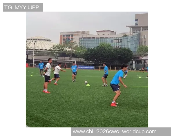 胡志强在足球领域的探索与成就分析及其对中国足球发展的影响